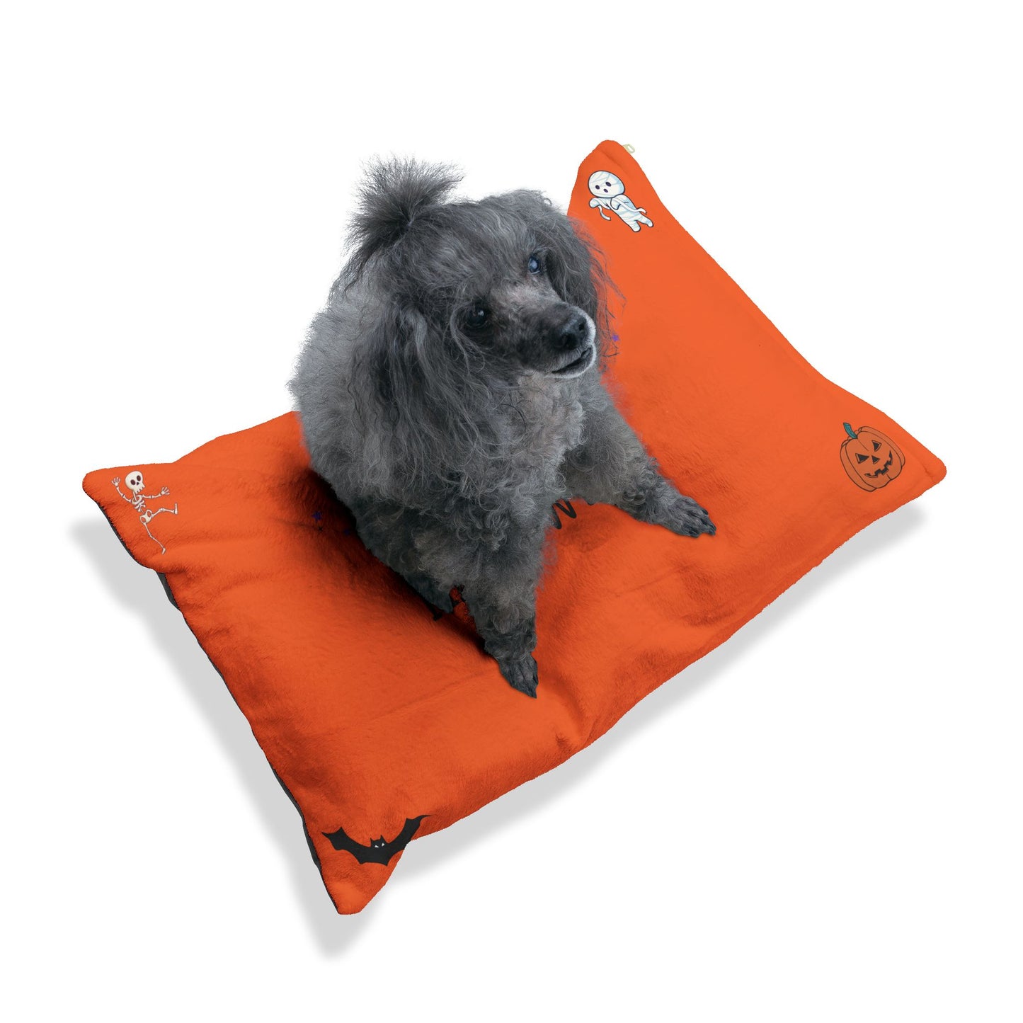 Halloween Pet Bed with Pumpkin Design