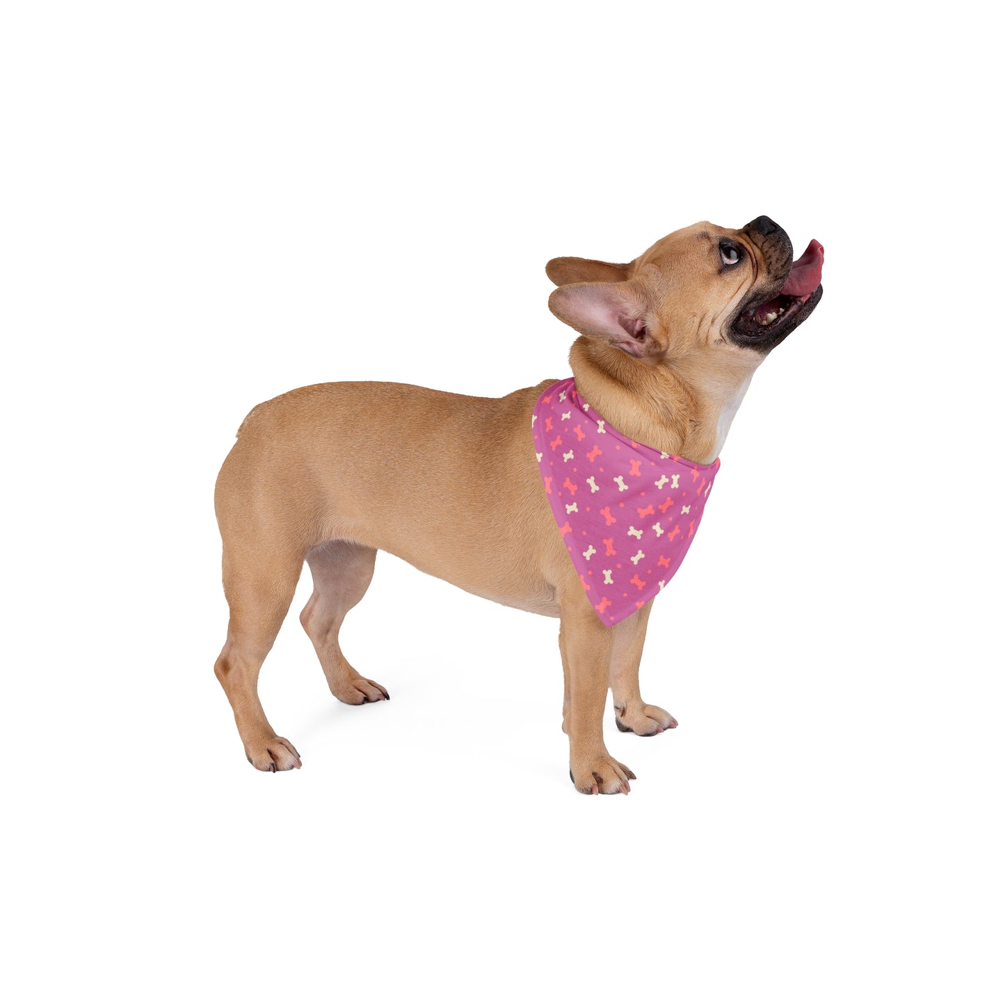 Playful Pet Bandana for Dogs
