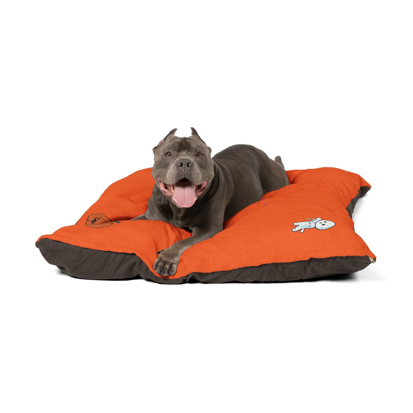 Halloween Pet Bed with Pumpkin Design